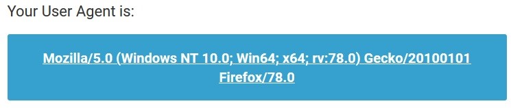 screenshot of web browser user agent string